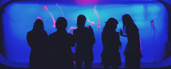 Un groupe de personnes se tient devant un aquarium, profitant d'une expérience immersive avec des poissons colorés.