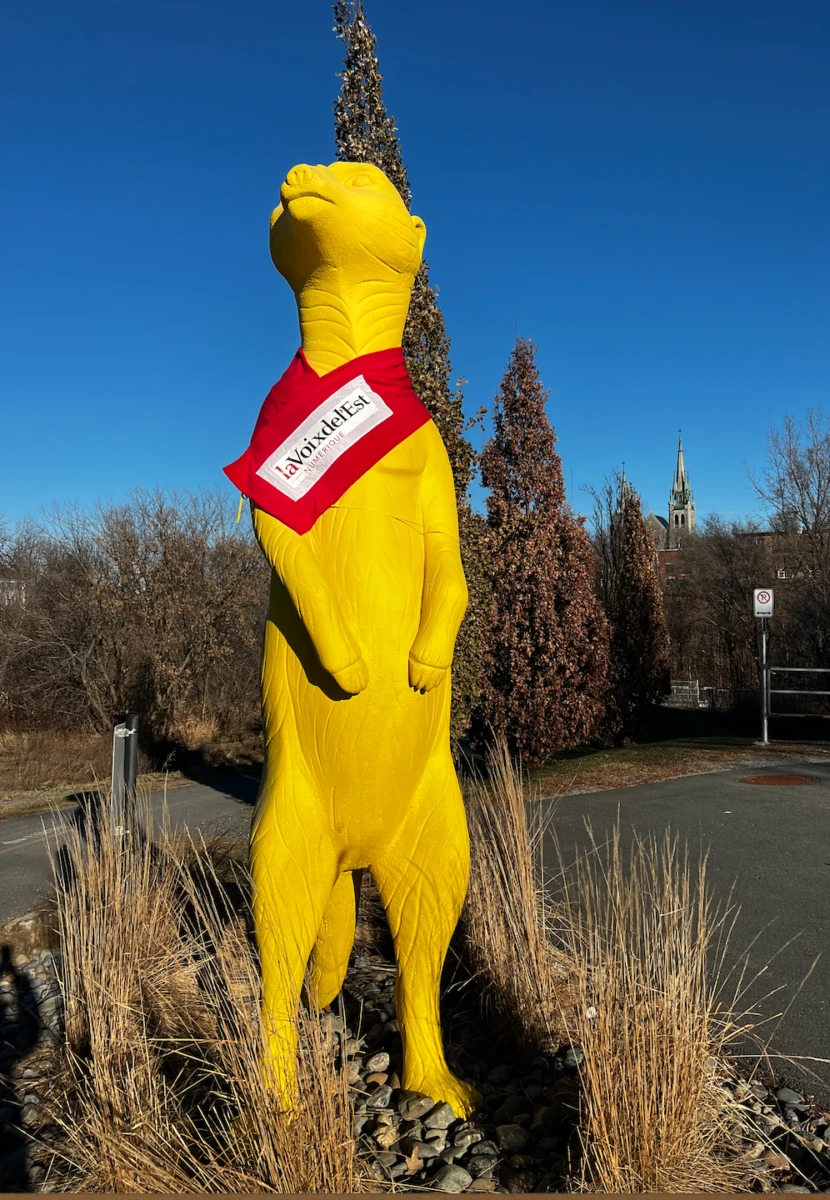 Capture-decran-le-2023-02-01-a-08.40.31-e1744219625289 Parcours hivernal ville de Granby